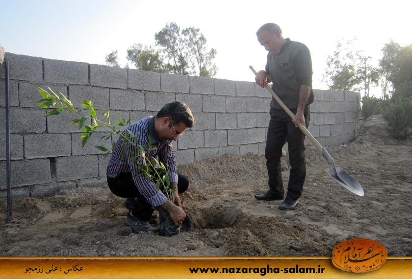 تصاویری از درختکاری در آرامگاه نظرآقا - سید محمود موسوی نزاد - حیدر صالحی