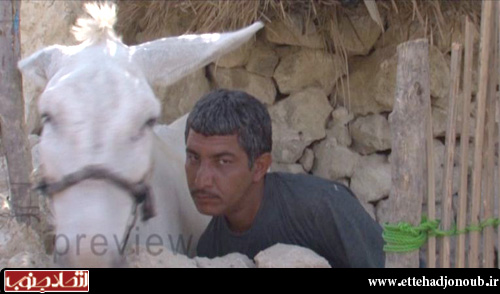 فیلم جمعه و شنبه استان بوشهر